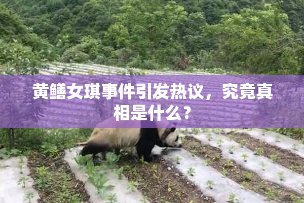 黄鳝女琪事件引发热议，究竟真相是什么？