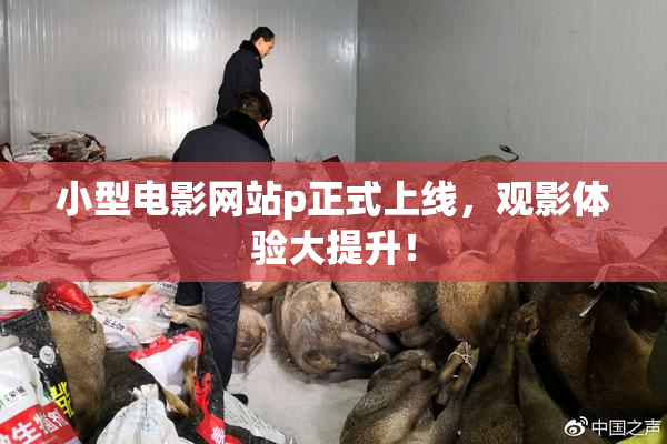 小型电影网站p正式上线，观影体验大提升！