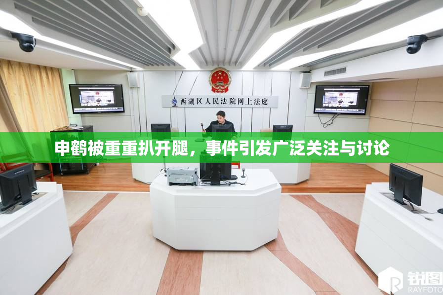 申鹤被重重扒开腿，事件引发广泛关注与讨论