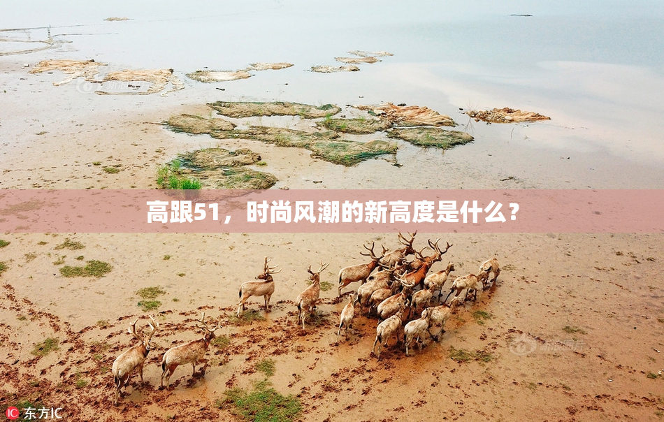 高跟51，时尚风潮的新高度是什么？