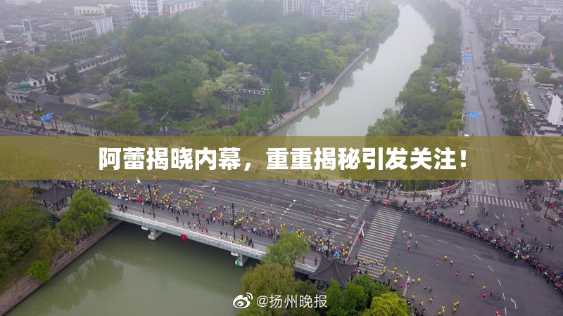 阿蕾揭晓内幕，重重揭秘引发关注！