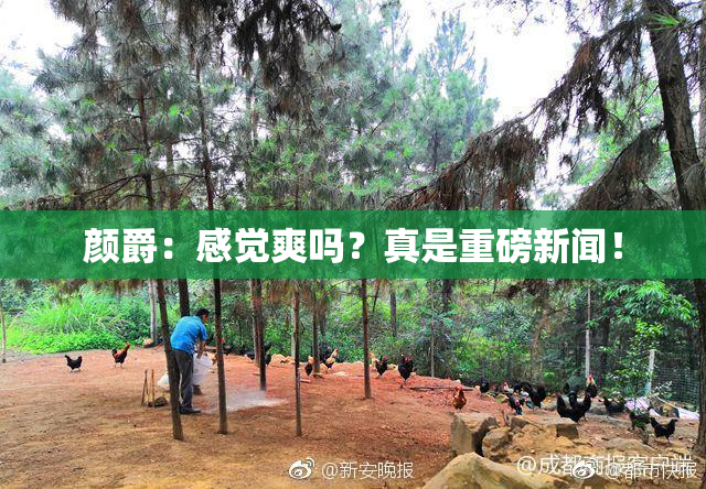 颜爵：感觉爽吗？真是重磅新闻！