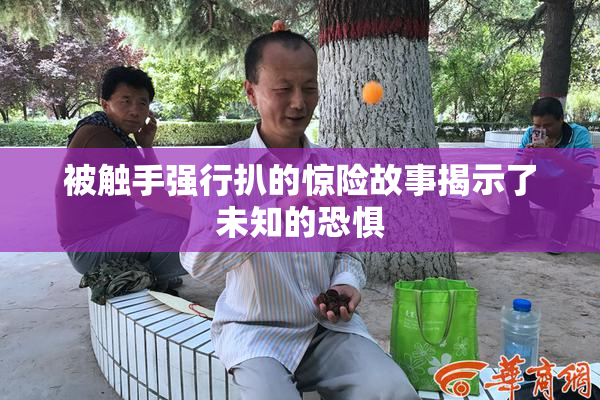 被触手强行扒的惊险故事揭示了未知的恐惧
