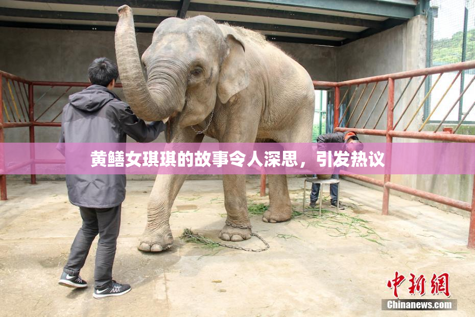 黄鳝女琪琪的故事令人深思，引发热议