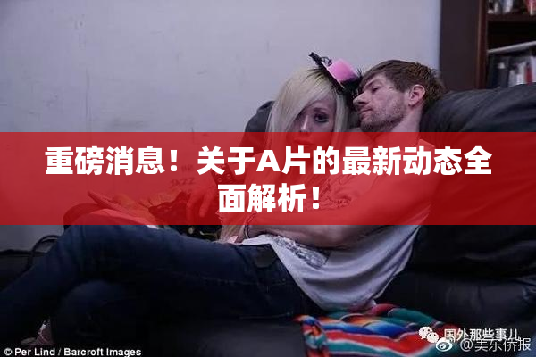 重磅消息！关于A片的最新动态全面解析！
