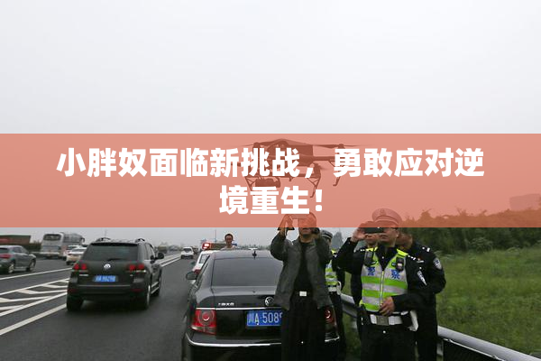 小胖奴面临新挑战，勇敢应对逆境重生！