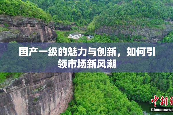 国产一级的魅力与创新，如何引领市场新风潮