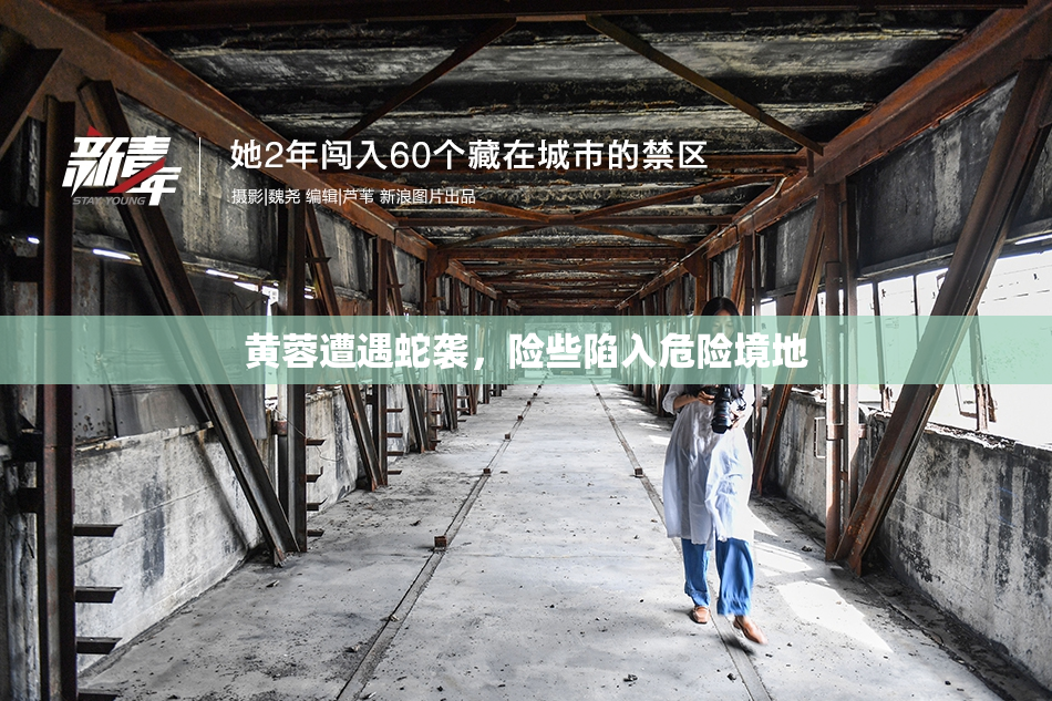 黄蓉遭遇蛇袭，险些陷入危险境地