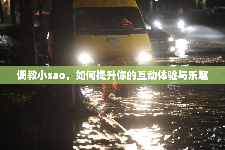 调教小sao，如何提升你的互动体验与乐趣