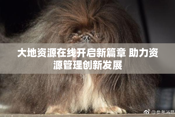 大地资源在线开启新篇章 助力资源管理创新发展