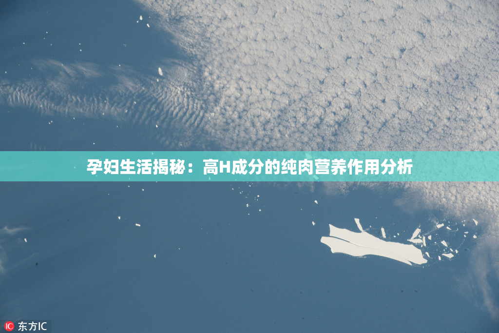 孕妇生活揭秘：高H成分的纯肉营养作用分析