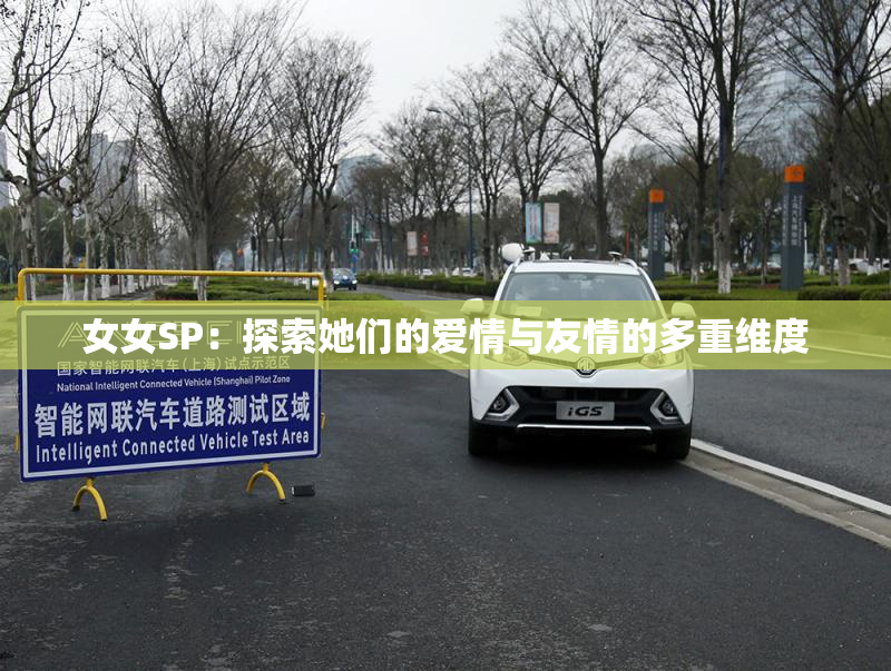 女女SP：探索她们的爱情与友情的多重维度