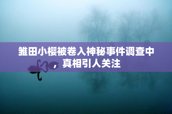雏田小樱被卷入神秘事件调查中，真相引人关注