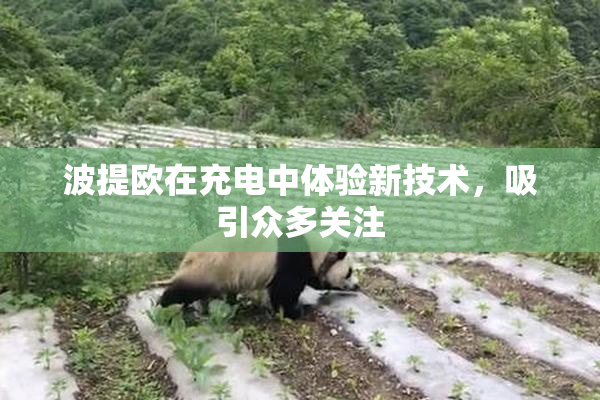 波提欧在充电中体验新技术，吸引众多关注
