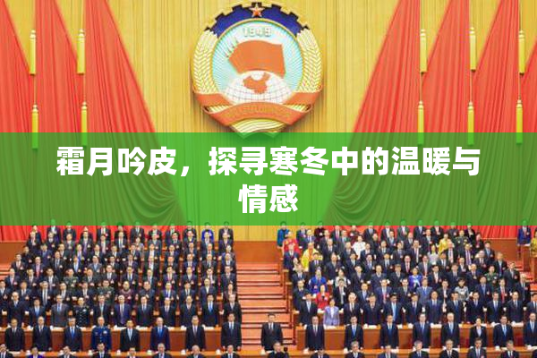霜月吟皮，探寻寒冬中的温暖与情感
