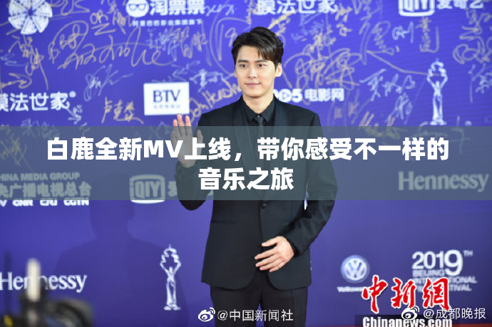 白鹿全新MV上线，带你感受不一样的音乐之旅