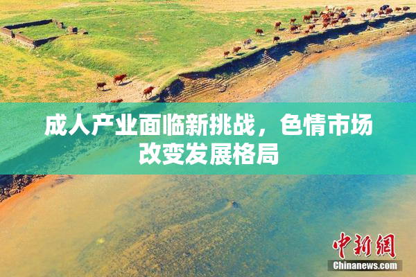 成人产业面临新挑战，色情市场改变发展格局