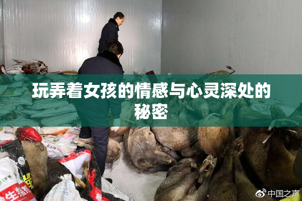 玩弄着女孩的情感与心灵深处的秘密