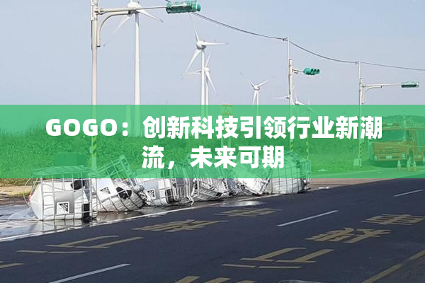GOGO：创新科技引领行业新潮流，未来可期
