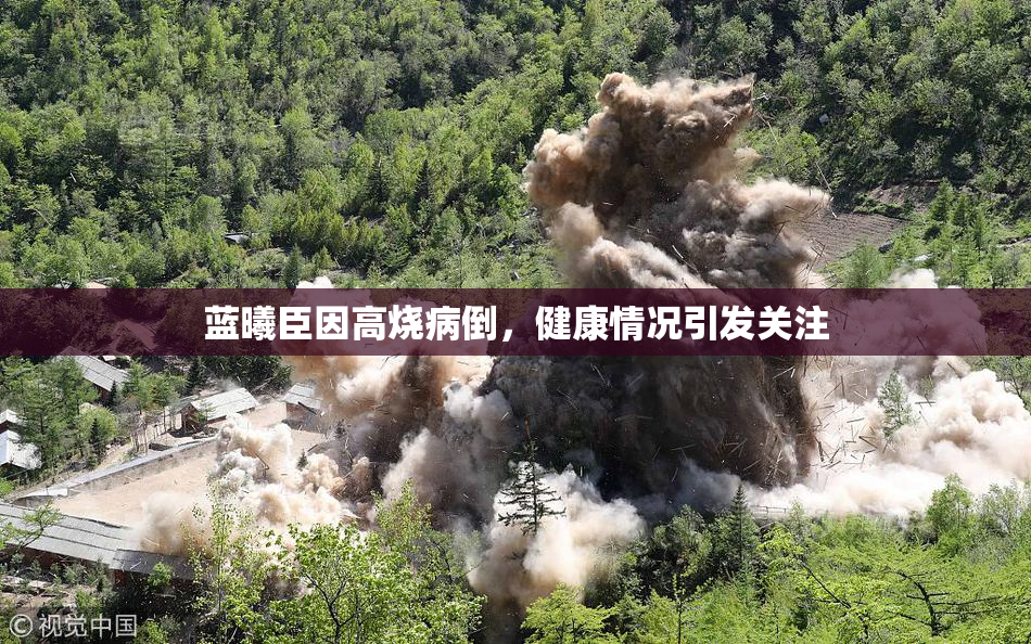 蓝曦臣因高烧病倒，健康情况引发关注