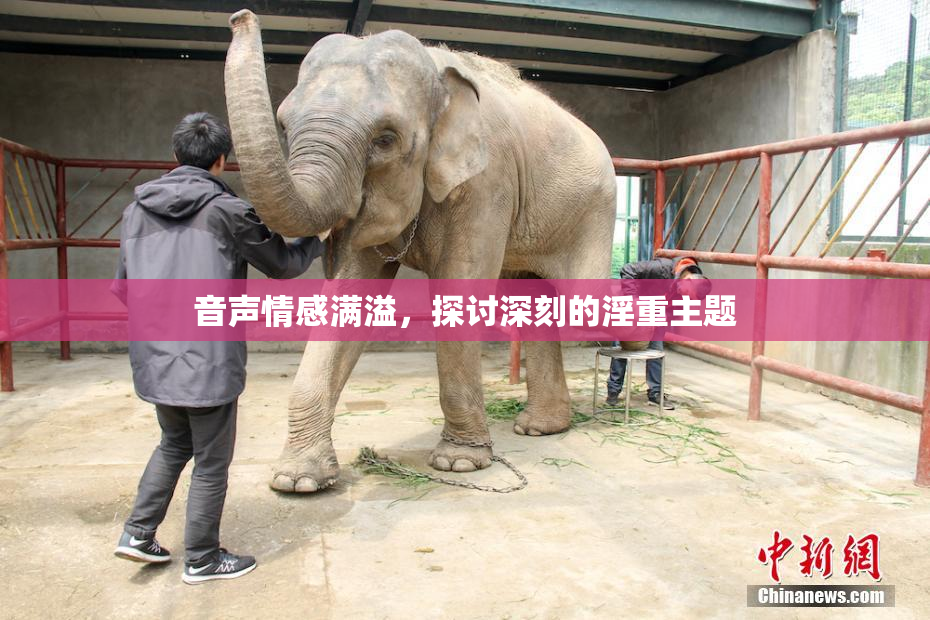 音声情感满溢，探讨深刻的淫重主题