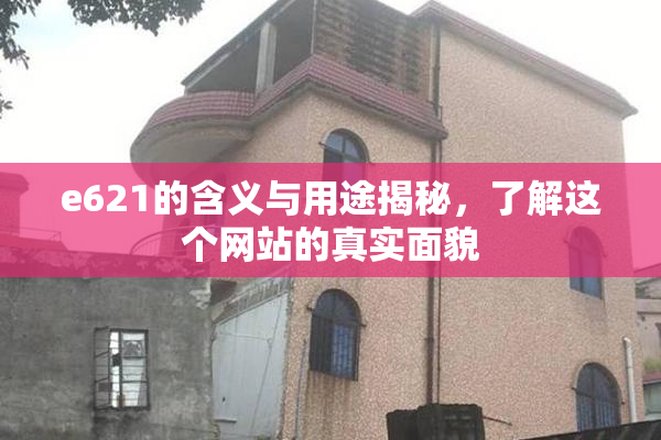 e621的含义与用途揭秘，了解这个网站的真实面貌
