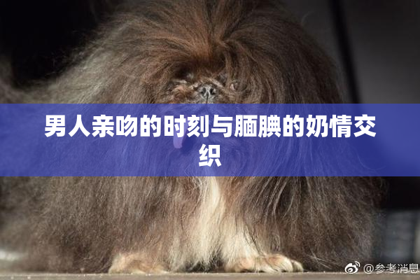 男人亲吻的时刻与腼腆的奶情交织