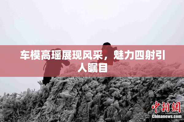 车模高瑶展现风采，魅力四射引人瞩目