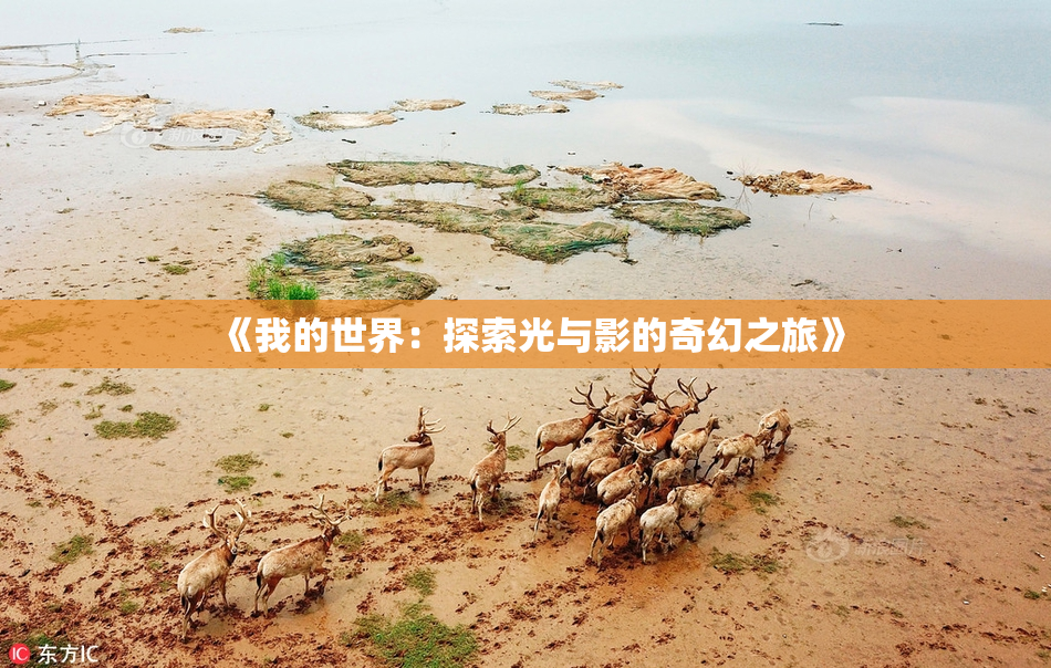 《我的世界：探索光与影的奇幻之旅》