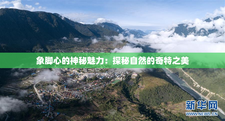象脚心的神秘魅力：探秘自然的奇特之美