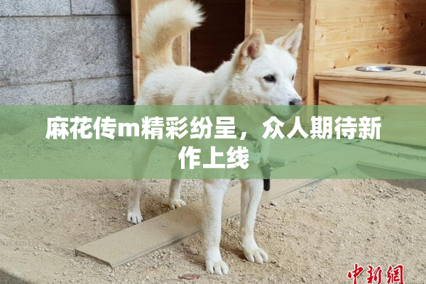 麻花传m精彩纷呈，众人期待新作上线