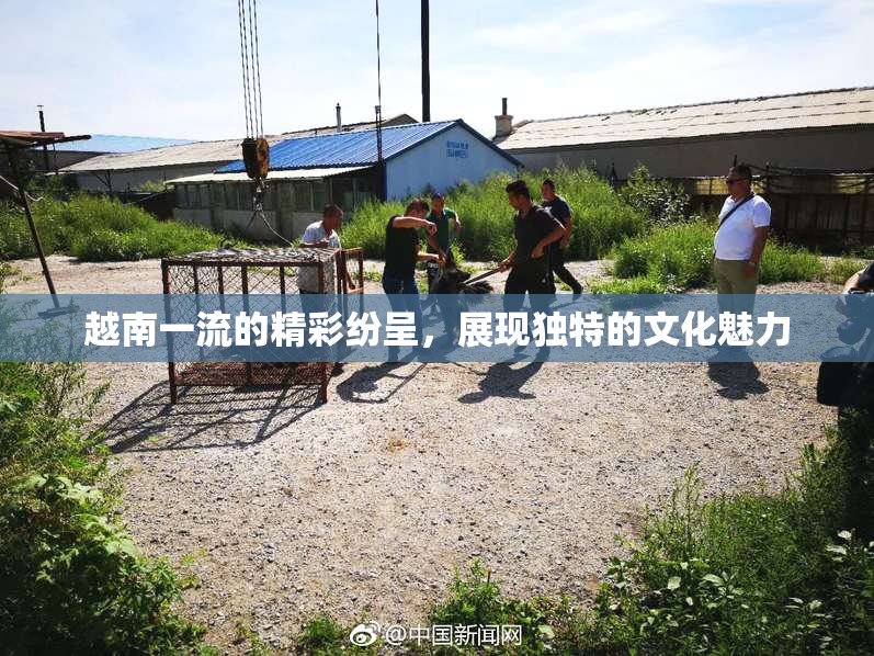 越南一流的精彩纷呈，展现独特的文化魅力