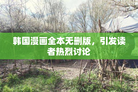 韩国漫画全本无删版，引发读者热烈讨论