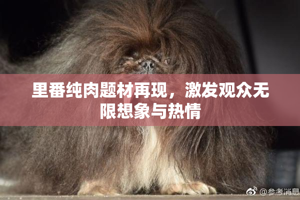 里番纯肉题材再现，激发观众无限想象与热情