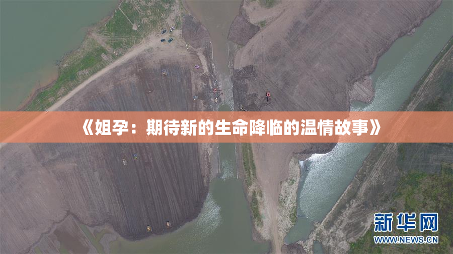 《姐孕：期待新的生命降临的温情故事》
