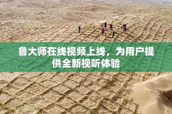 鲁大师在线视频上线，为用户提供全新视听体验