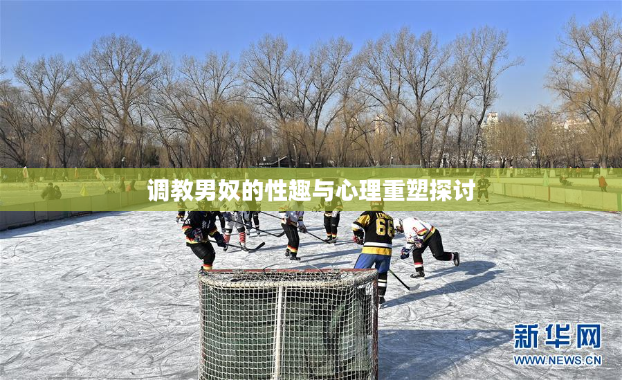 调教男奴的性趣与心理重塑探讨