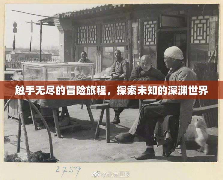 触手无尽的冒险旅程，探索未知的深渊世界