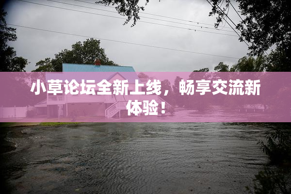 小草论坛全新上线，畅享交流新体验！