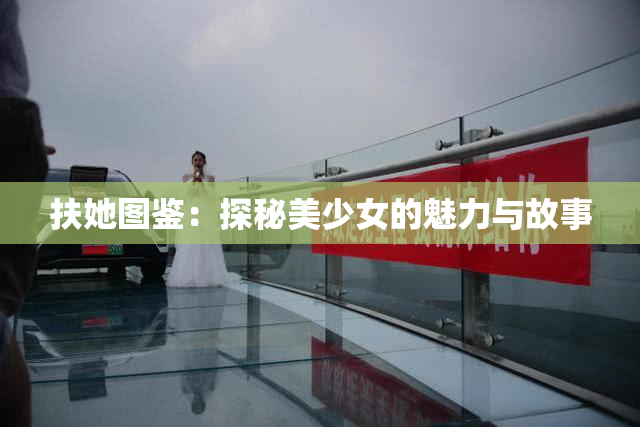 扶她图鉴：探秘美少女的魅力与故事