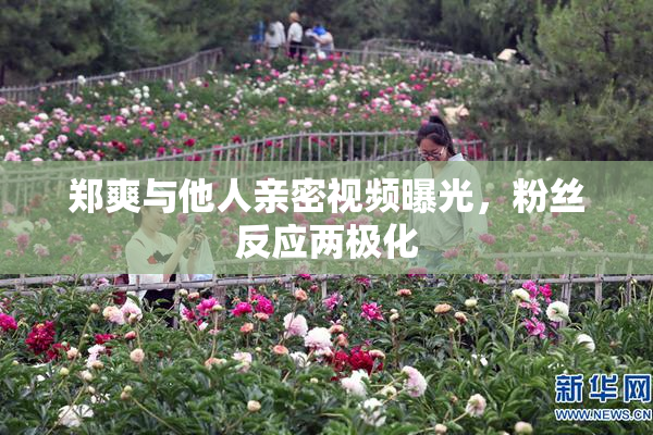 郑爽与他人亲密视频曝光，粉丝反应两极化