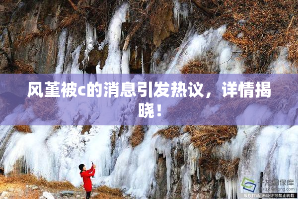 风堇被c的消息引发热议，详情揭晓！