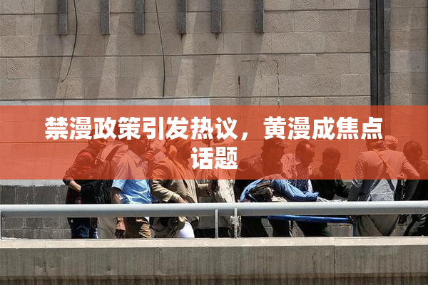 禁漫政策引发热议，黄漫成焦点话题