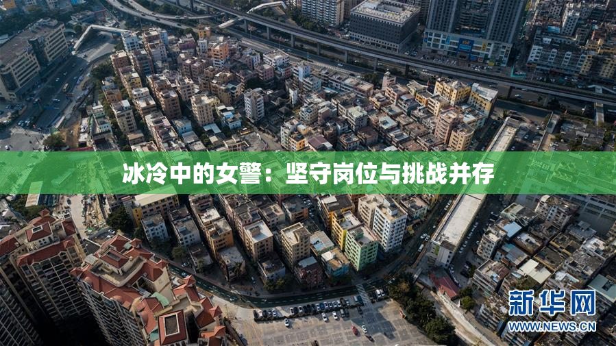 冰冷中的女警：坚守岗位与挑战并存
