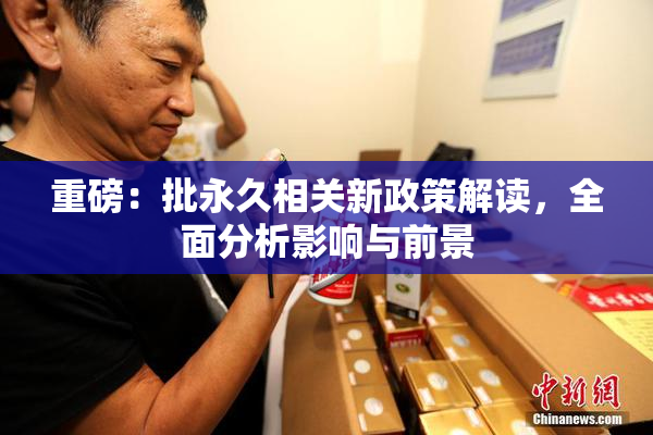 重磅：批永久相关新政策解读，全面分析影响与前景