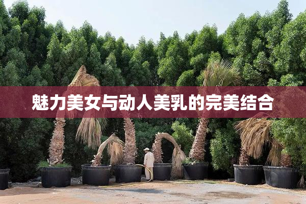 魅力美女与动人美乳的完美结合