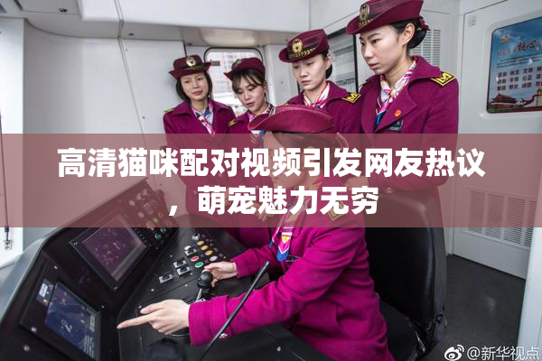 高清猫咪配对视频引发网友热议，萌宠魅力无穷
