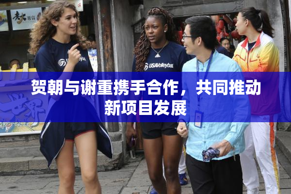 贺朝与谢重携手合作，共同推动新项目发展
