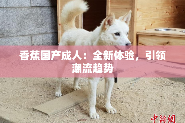 香蕉国产成人：全新体验，引领潮流趋势