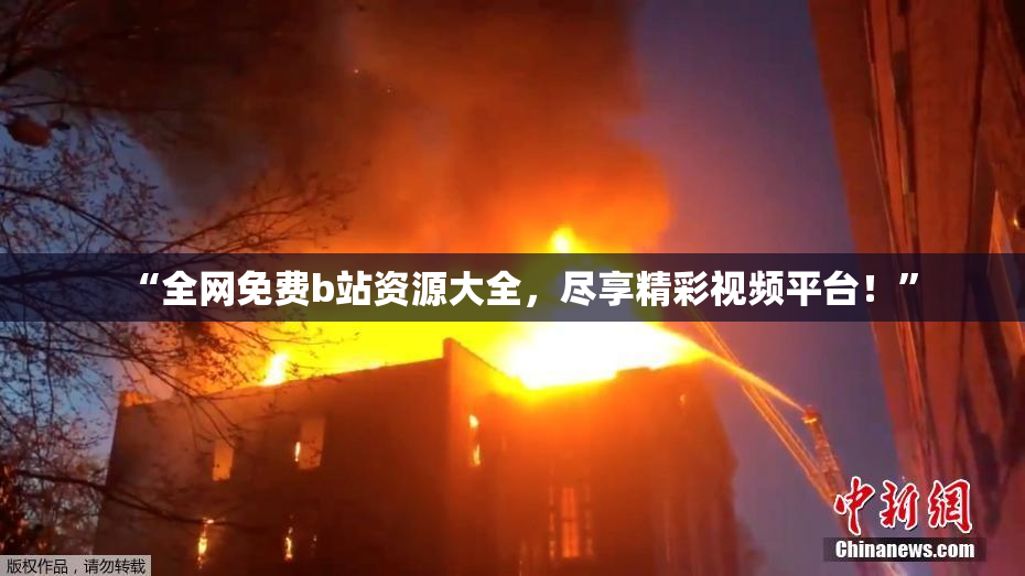 “全网免费b站资源大全，尽享精彩视频平台！”